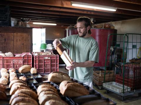 Julien prépare les commandes de pain qu'il distribuera en vente directe et dans un magasin de producteurs Sarzeau, France - 2020